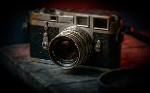 Check-up & Portfolio